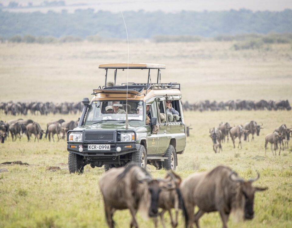 Kenya Long Safaris
