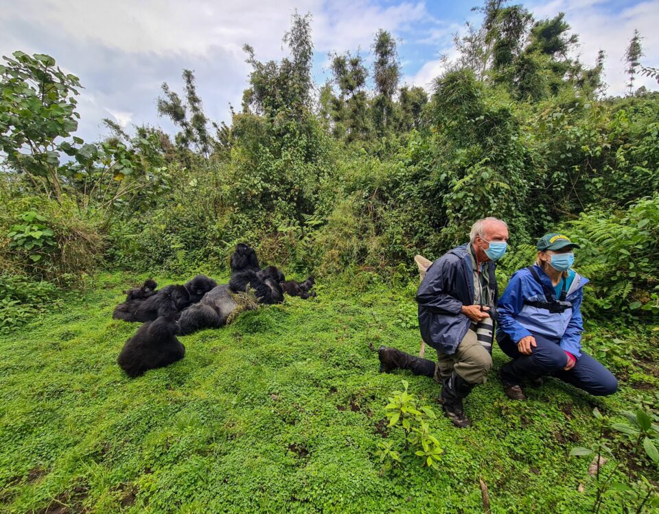 4 Day Rwanda Uganda Gorilla Trekking & Golden Monkey Safari