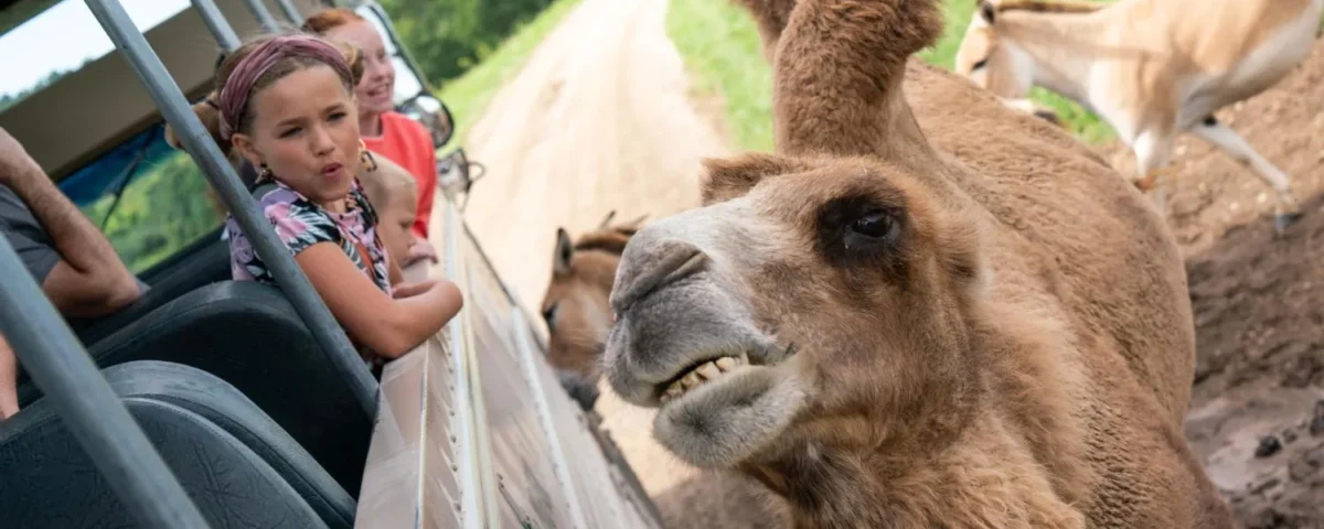 Student Safari Experiences