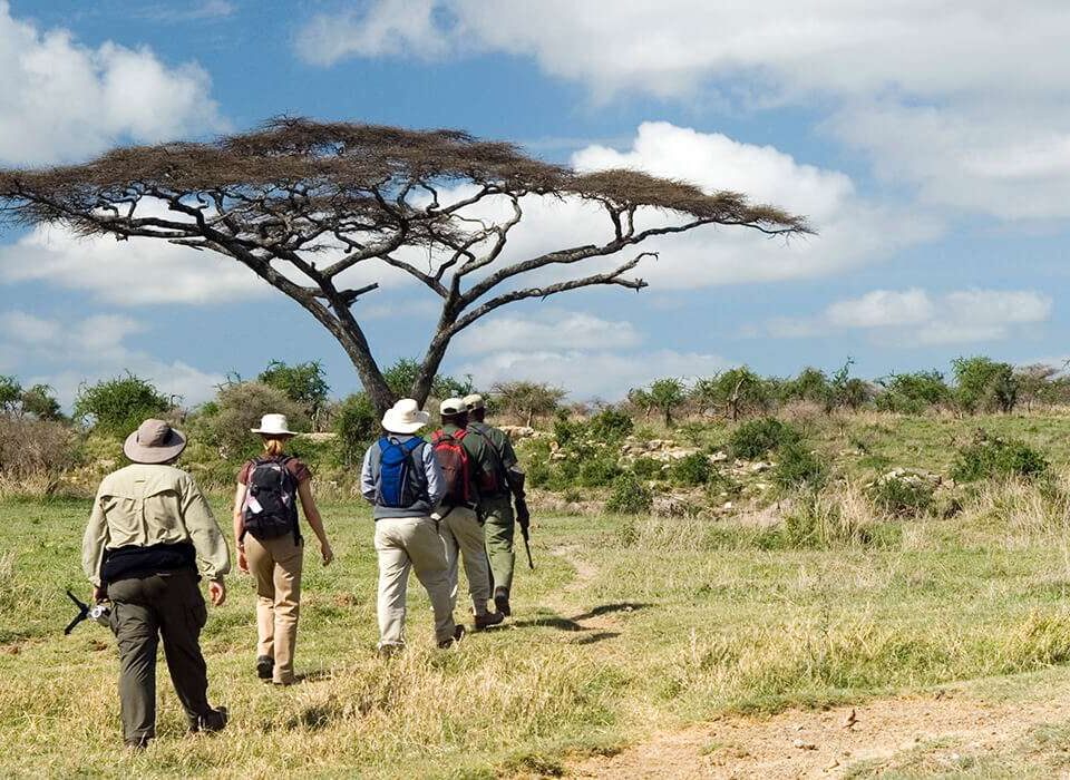 Walking Safari Experiences