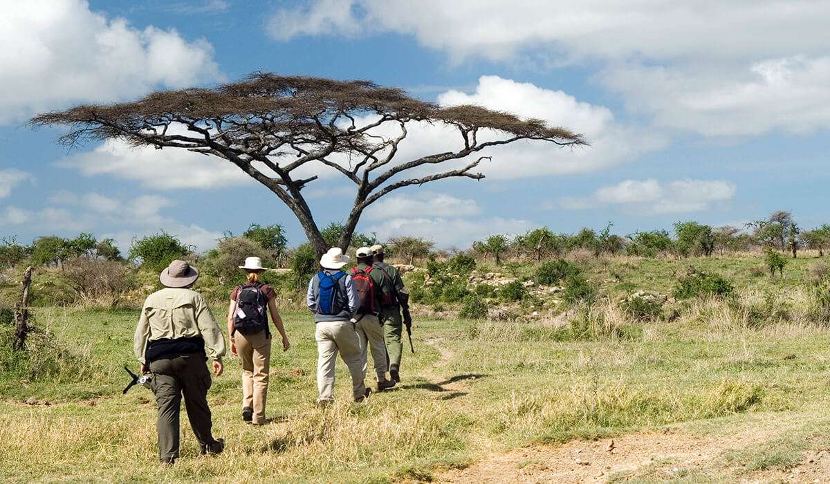Walking Safari Experiences