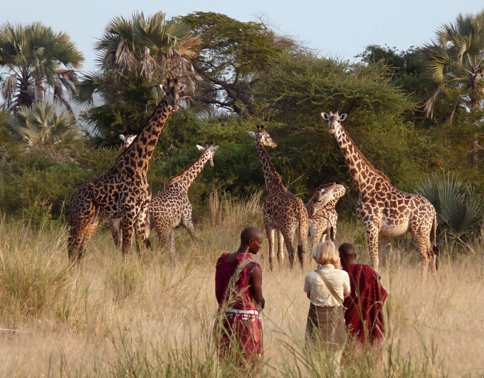 12 Days Kenya Photography Expedition