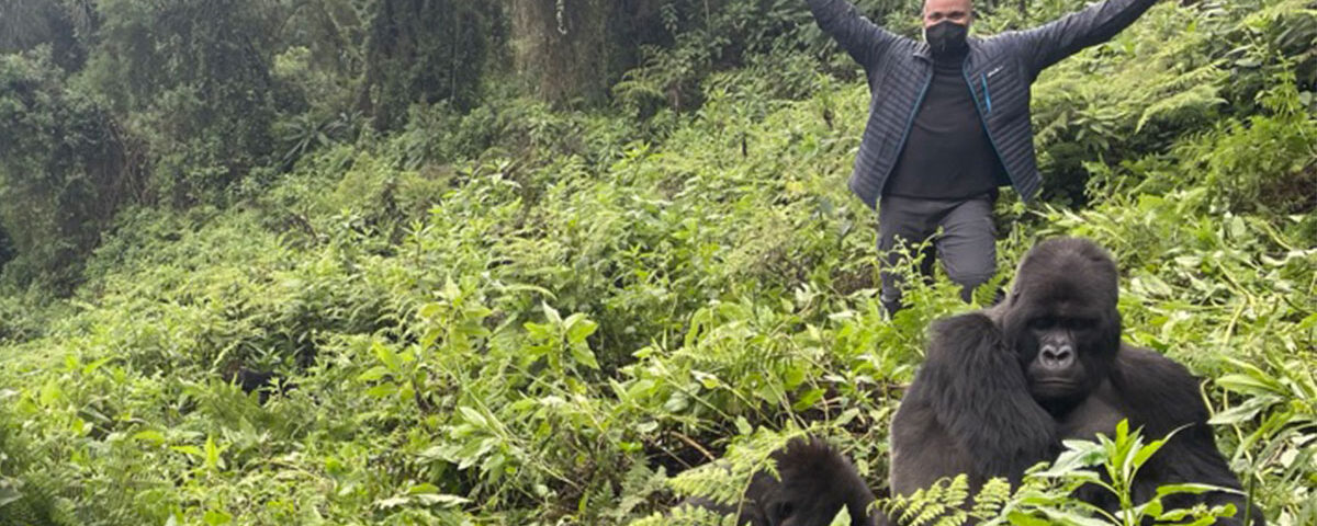 Where Does Gorilla Trekking Take Place in Uganda?