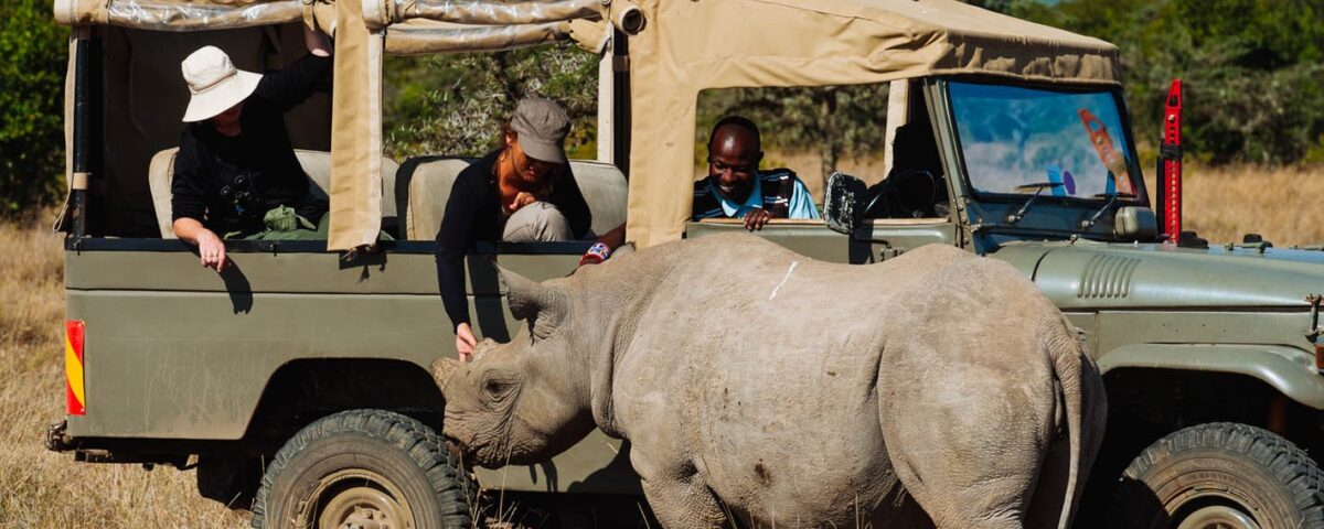 Guided Tours Available for Ol Pejeta