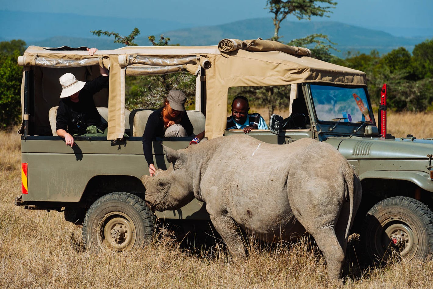Guided Tours Available for Ol Pejeta