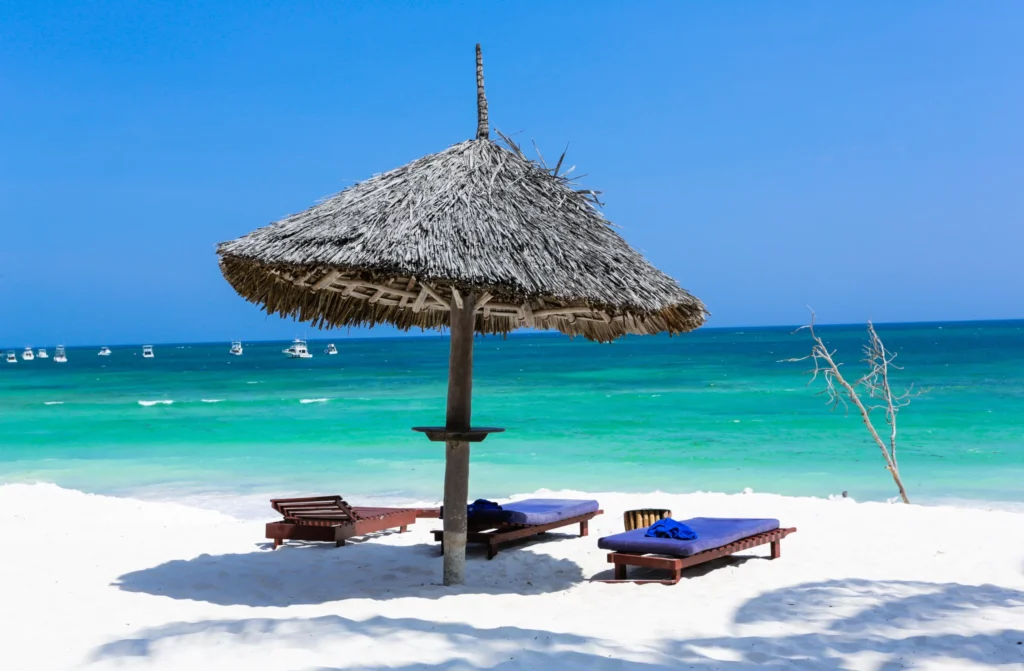 What Makes Watamu Ideal for Marine Safaris?