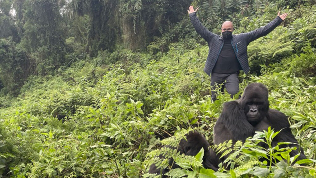 Where Does Gorilla Trekking Take Place in Rwanda?